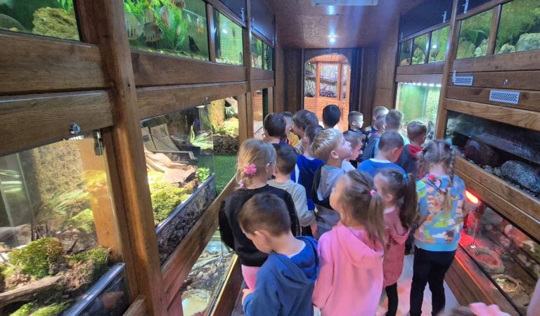 Przedszkolaki w Zoo Egzotycznym w Tuchlinie